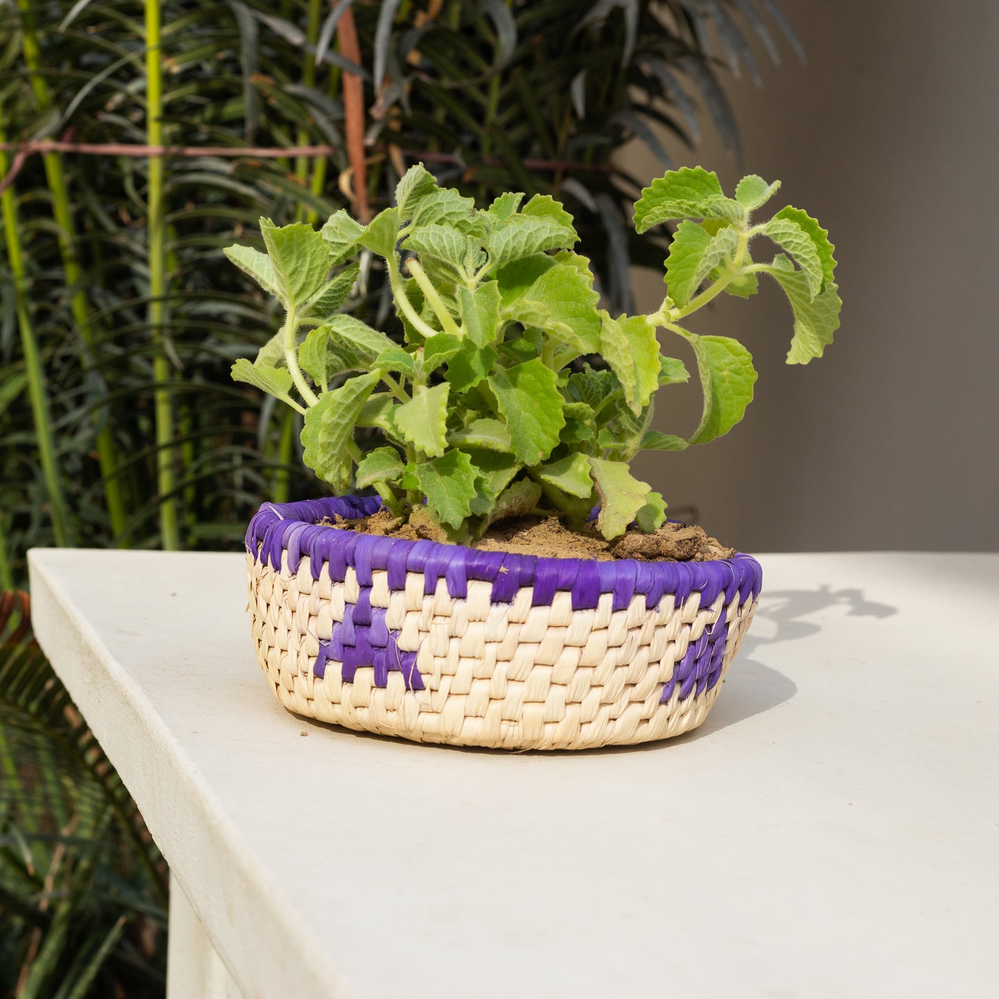 Leafy Haven Baskets